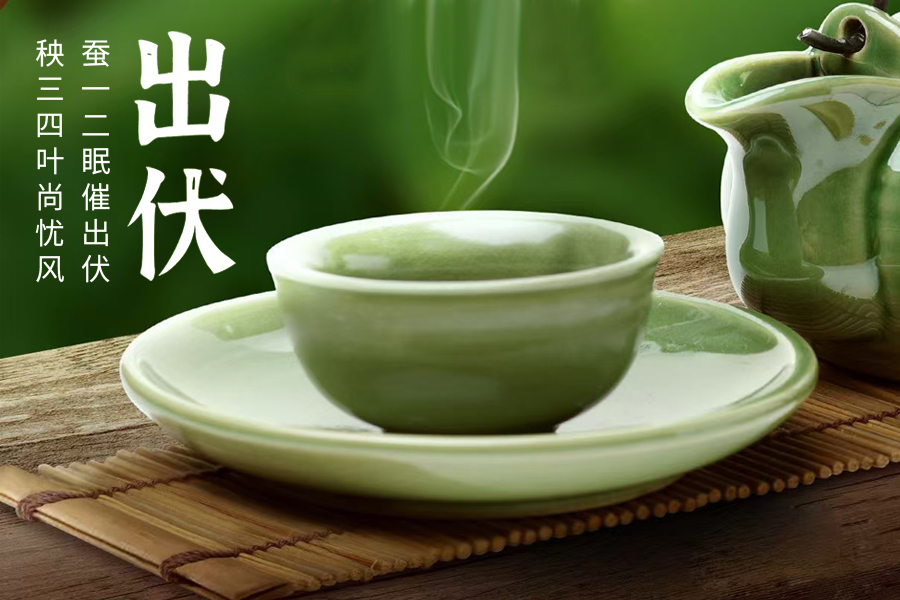 出伏暑去清風(fēng)來，守一杯茶的閑逸，靜享秋日清歡